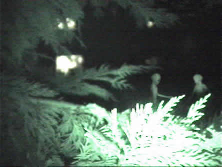 Multiple aliens by a tree Multiple aliens by a tree